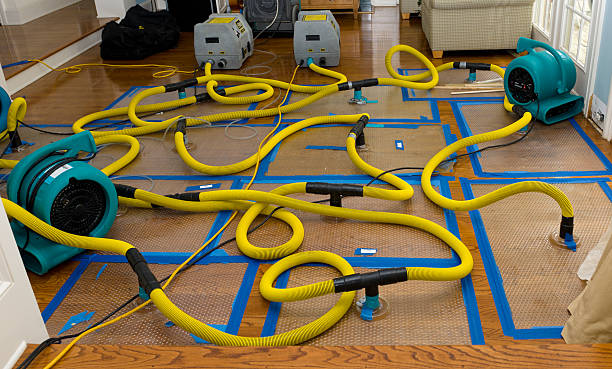 Professional Water Extraction technician working in Vacaville, CA